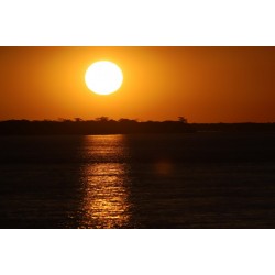 Estado de alerta: Paraná atinge momento mais crítico para casos de queimadas florestais